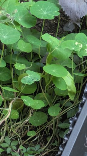 Оригинальная фотография