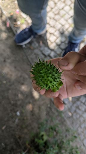 Оригинальная фотография
