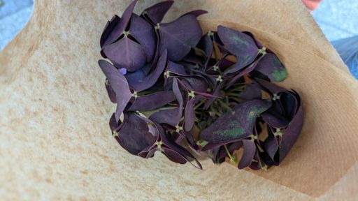 Оригинальная фотография